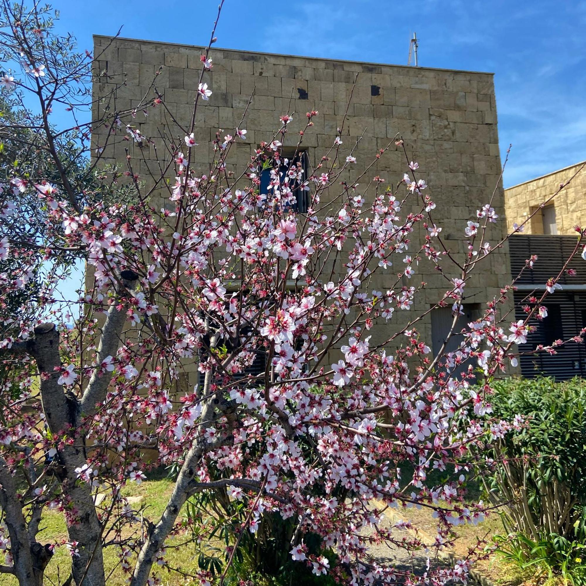 فيلا Casa Barbara Sardinia Masainas المظهر الخارجي الصورة